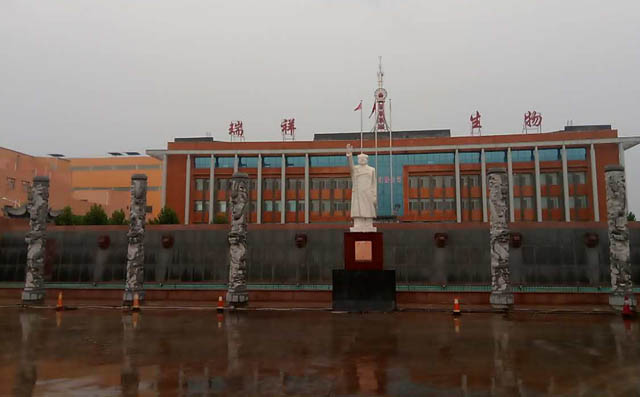 章丘91成人免费版汙水曝氣羅茨(cí)風機用於瑞(ruì)祥生物廠 章丘91成人免费版汙水曝氣羅茨風機用(yòng)於(yú)瑞祥生物廠