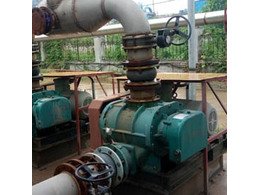 章丘（qiū）91成人免费版（yuán）汙水曝氣羅茨風機用於瑞（ruì）祥生物廠