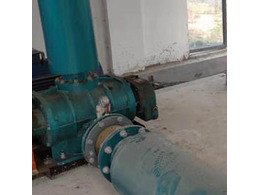 章丘91成人免费版FSR250G羅茨風機在惠州市廣豐農牧運行成功!