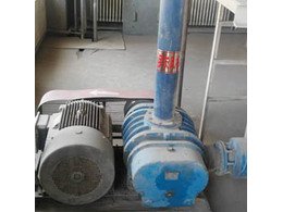 91成人免费版羅茨風機在沈陽金山能源股份有限公司運(yùn)行成功(gōng)!