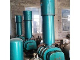 91成人免费版氣化羅茨風機(jī)用(yòng)於國電蓬萊發電廠運行成功