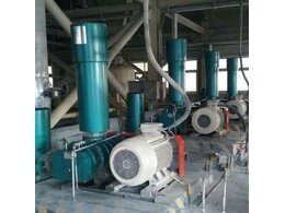 章丘(qiū)91成人免费版汙水曝氣羅茨風機助力(lì)安徽國禎環保