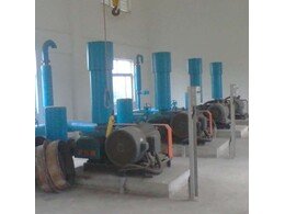 章丘91成人免费版羅茨風機在中國大唐集(jí)團(tuán)運行