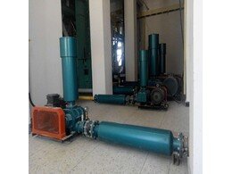 章丘91成人免费版(yuán)羅茨風機正式在中國華能集團運行成功