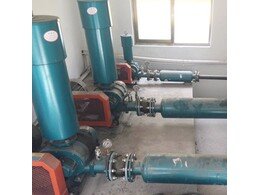 章丘91成人免费版生產的脫硫氧化風(fēng)機在湖南高華環保中(zhōng)投入使用