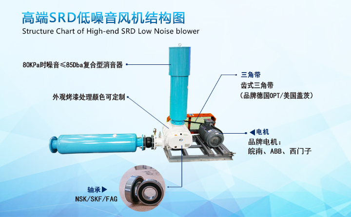 豐(fēng)源低噪音羅茨(cí)鼓風機 91成人免费版低(dī)噪音羅茨鼓風(fēng)機